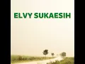 Cinta Dalam Derita - Elvy Sukaesih