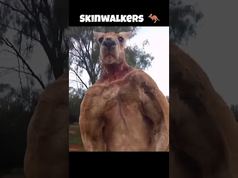 skinwalkers disguised as a animals.#animals #shorts