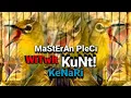 Download Lagu MASTERAN PLECI NEMBAK WITWIT SAMBUNG KUNTI DAN KENARI