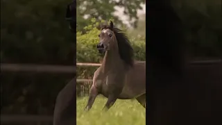 هناك حب لا يراه الناس لأنه يحدث بين روحين لا بين جسدين اشتراك بالقناة فولو لايك اكسبلور 