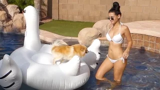 DAY IN THE POOL