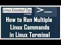 How to Run Multiple Linux Commands at Once in Linux Terminal Linux tutorial