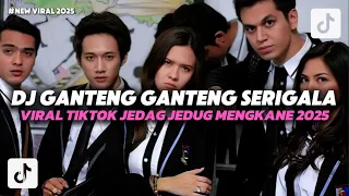dj ganteng ganteng serigala ggs dj dalam sepi engkau datang viral tiktok mengkane new dj 2025 