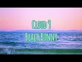 Download Lagu Cloud 9 - Beach Bunny 1 hour loop (lyrics)