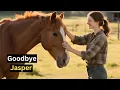Download Lagu Saying Goodbye to Jasper: A Horse Who Carried My Heart Forever
