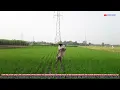 Slamet Pengamen Ft  Dara Ayu   TAMBAL BAN  !!! BERIHKAN RUMPUT DARI BIBIT KECIL MAU TUMBUH KITA GARU