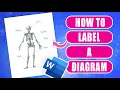 How to Label a Diagram Picture or Photo and Save It as an Image PDF or Word Doc