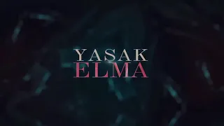 مسلسل التفاح الحرام الحلقة الاخيرة مترجم 