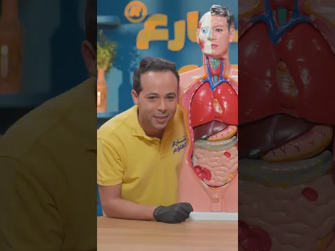 لكل طلاب العلوم والـScience شارع العلوم محضّرلكم مفاجأة 🤩