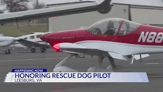 Family of Virginia pilot who died transporting rescue animals receives dog s ashes