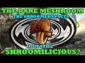 Ark Survival Evolved The Rare Mushroom Can We Still Use Them