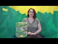 Insect Lore Caterpillar Refill - Releasing your Butterflies