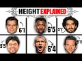 Every Country Average Height Explained COMPLETE BREAKDOWN