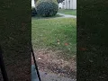 It s was hailing in porterville