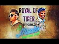 Download Lagu Dj Gol2 Roar of Tiger 2.0