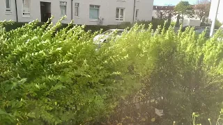 Heavy winds 40 wind speed Glasgow