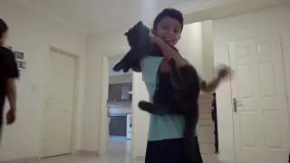                           دندنها