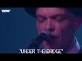 Thorbjørn Risager & The Black Tornado