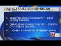 Raleigh man charged in deadly Whistling Straits Way stabbing
