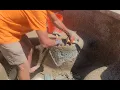 Pool Patch Pool Pebble Repair Kit - Step by Step How to Use This Repair Kit