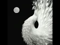 Yin and Yang