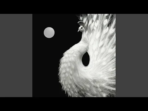 Video Thumbnail: Yin and Yang