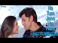 Na Tum Jano Na Hum | 2021 Instrument version | Kaho Na Pyaar Hai | YP