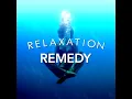Mindful Meditation - Relax
