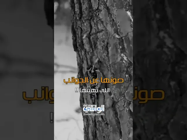 تكريم المرأة الصحيح | د.احمد الوائلي