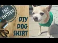 Easy DIY Dog Shirt - Free Pattern Download