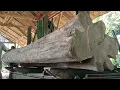 Lagu The tense process of making beautiful teak wood frame beams at the sawmill 