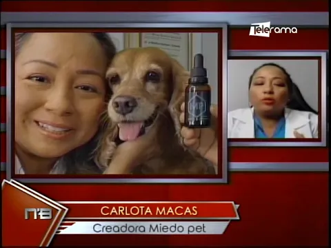 Miedo Pet: Medicina Natural para evitar estrés en mascotas