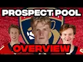 Prospect Pool Overview Florida Panthers 2026 Edition