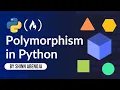 Polymorphism - Python Object Oriented Programming OOP Course CSC 104