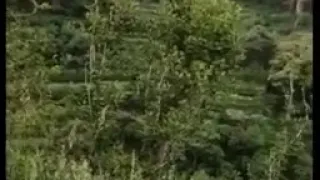 ص باح ال خير صباحك خ ير دائ م ص باح ال خير صباحك ورد باسم صباح الخير  خذ قلبي المسالم  ص باح ال طل ف دندنها