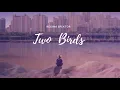 Download Lagu Vietsub | Two Birds - Regina Spektor | Nhạc Hot TikTok | Lyrics Video