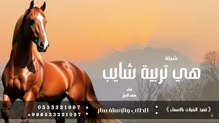 شيلة هي تربية شايب بين الرجال معروف فوق المشاريف   متعب الخيل   النسخة الاصلية          بدون حقوق  دندنها