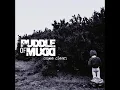 Puddle of Mudd - Control