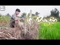 Download Lagu LEE KEN | LỠ DUYÊN | C.V x B.O x LÊ THIỆN x QUỲNH SKIN | LIVE ĐỒNG QUÊ