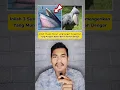 Download Lagu INILAH 3 SUARA HEWAN YANG SANGAT MENGERIKAN #pengetahuan #shorts