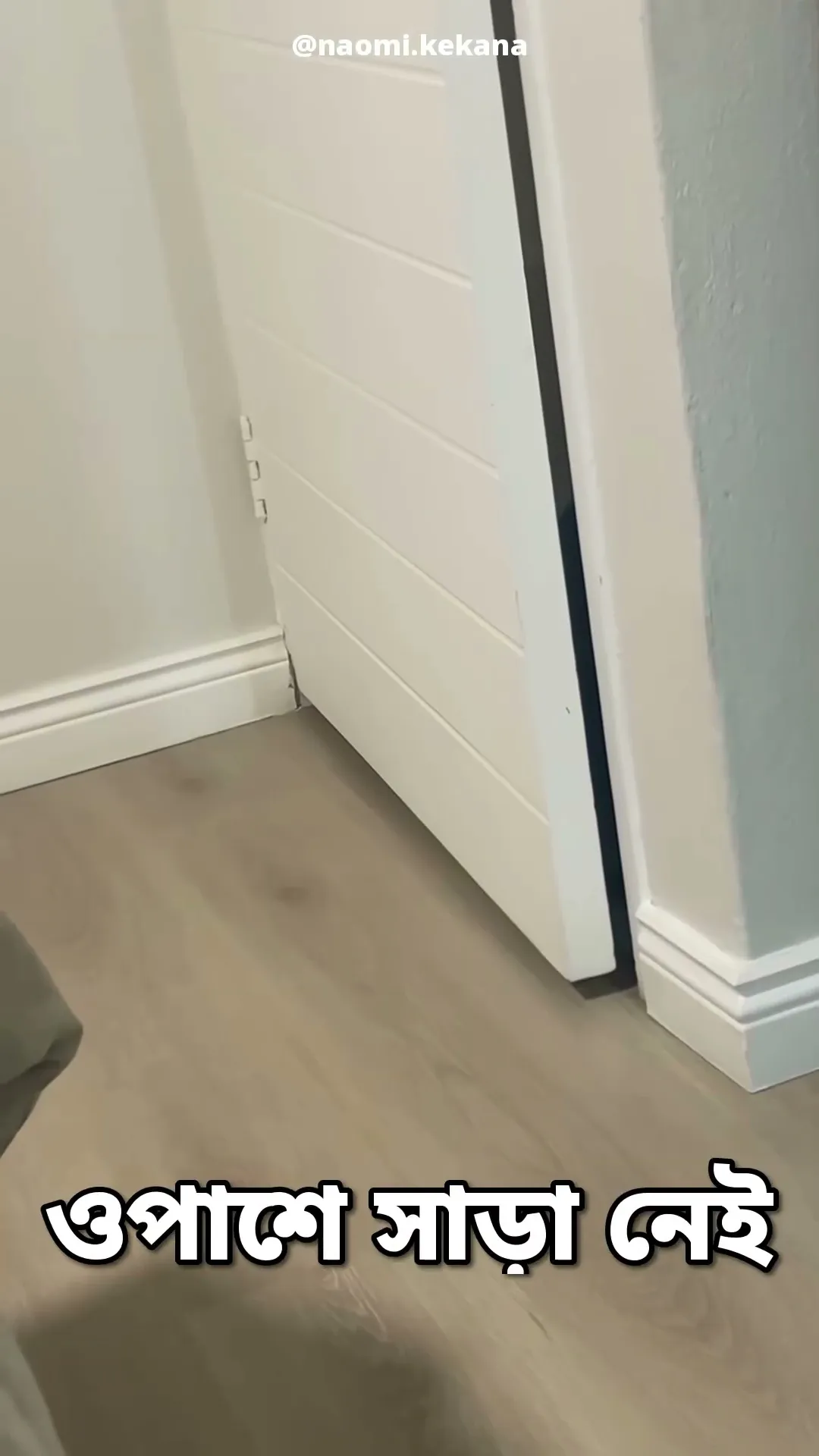 ঠেলব না, টানব 😹🚪