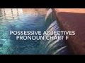 Possessive adjectives Chart F
