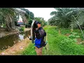Download Lagu Port Mancing Belakang Rumah!!