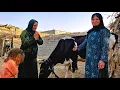 Download Lagu New Development: The Amazing Gift of a Nomadic Woman and the Joy of a Homeless Mother