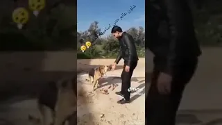 الكلب اوفى من بني ادم 