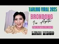 Download Lagu BRONDONG - IIS APITA | LIRIK VIDEO | TARLING LAWAS VIRAL 2025