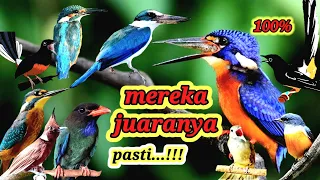 Download Rajanya super nembak,masteran burung murai batu,terbaik jernih speed rapat MP3