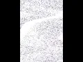 Download Lagu ONE WELLING TIKTOK MUSIC. LY VIDEO 2018