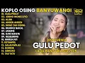 Download Lagu Dini Kurnia - GULU PEDOT - JODHO WONG LIYO - ALUM | FULL ALBUM LAGU BANYUWANGI 2025