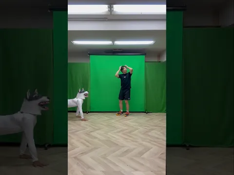 『How to cope on rainy days』#dog #funny